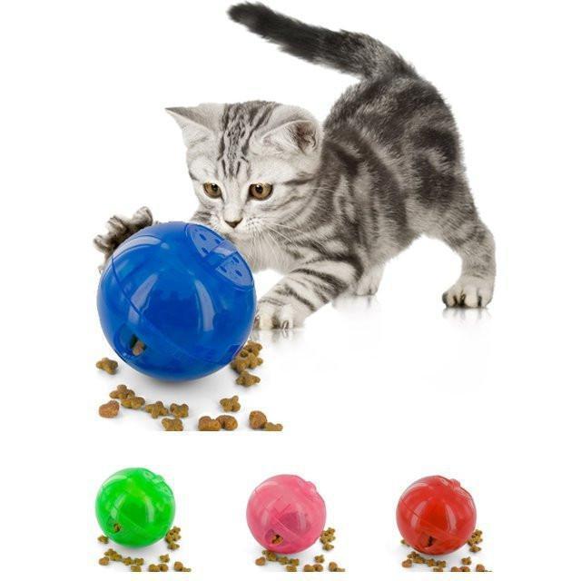 Pet Toys & Entertainment