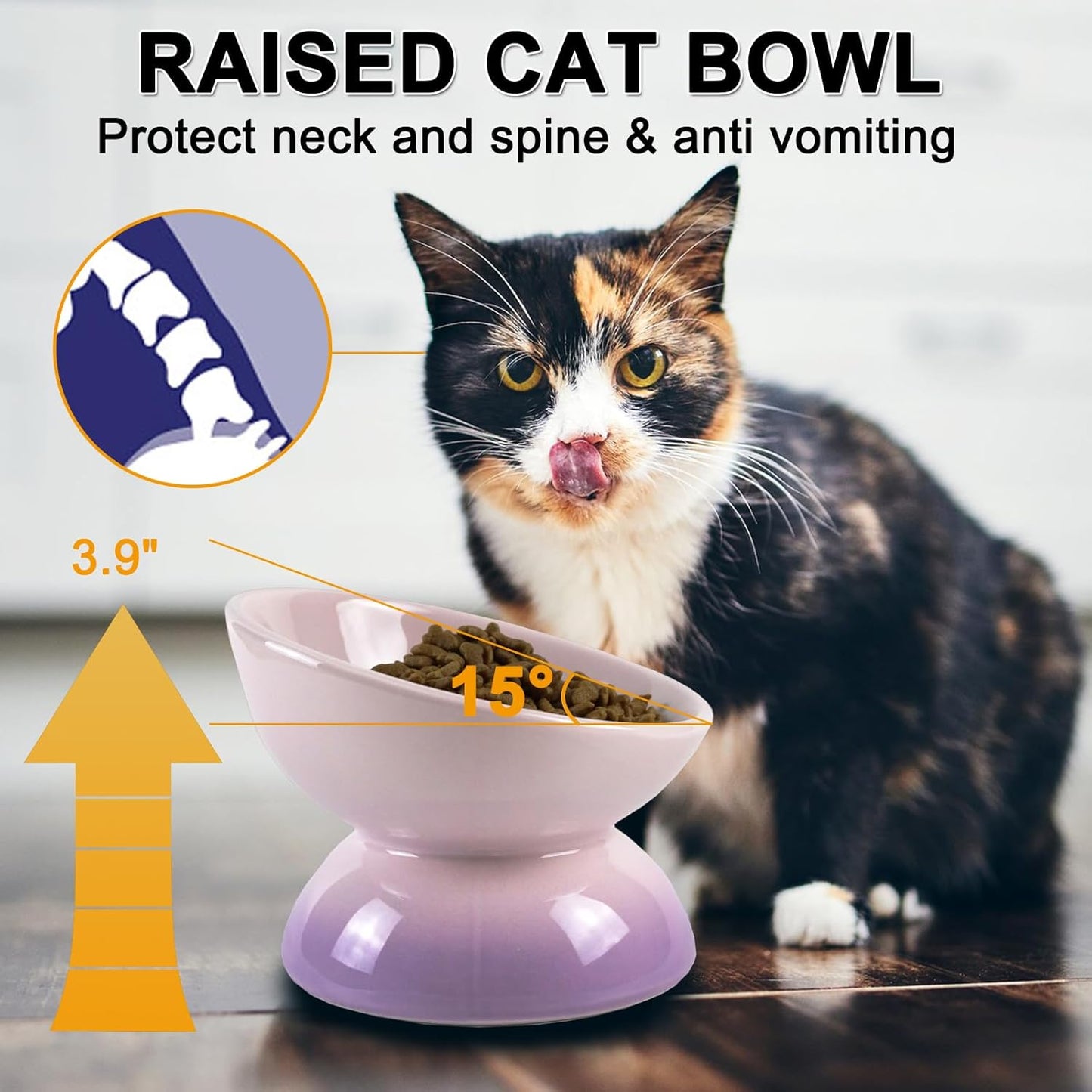 Cat Ceramic Bowl Gradient Pet Food Water Feeders Small Dogs Drinking Eating Supplies Raised Tilted Cats Puppy Feeding Supplies